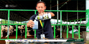 𝐓𝐀𝐔 𝐢𝐧 𝐌𝐨𝐭𝐢𝐨𝐧 | 𝐏𝐡𝐢𝐥𝐢𝐩𝐩𝐢𝐧𝐞 𝐌𝐚𝐬𝐭𝐢𝐭𝐢𝐬 𝐓𝐞𝐬𝐭 (𝐏𝐌𝐓)