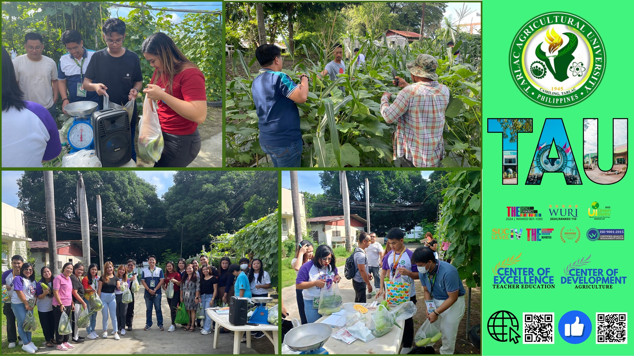 𝐂𝐀𝐏𝐓𝐔𝐑𝐄𝐃 𝐈𝐍 𝐋𝐄𝐍𝐒 | Tarlac Agricultural University (TAU) President Dr. Silverio Ramon DC. Salunson joins the faculty staff of the College of Arts and Sciences (CAS) in the inaugural edition of free produce picking at the DRD