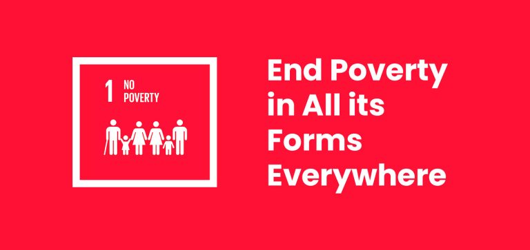 SDG 1 No Proverty