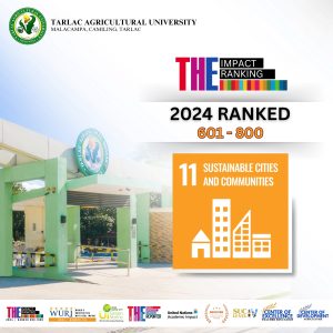 SDG 11 Ranked 2024