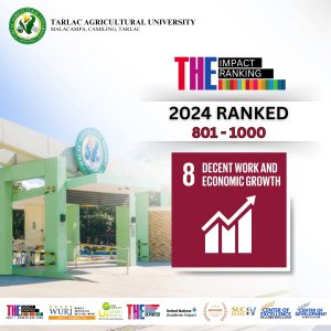 SDG 8 Ranked 2024